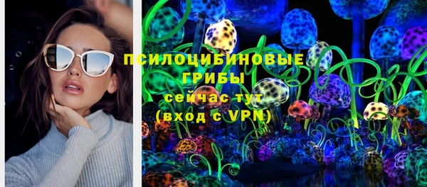 ALPHA PVP Беломорск