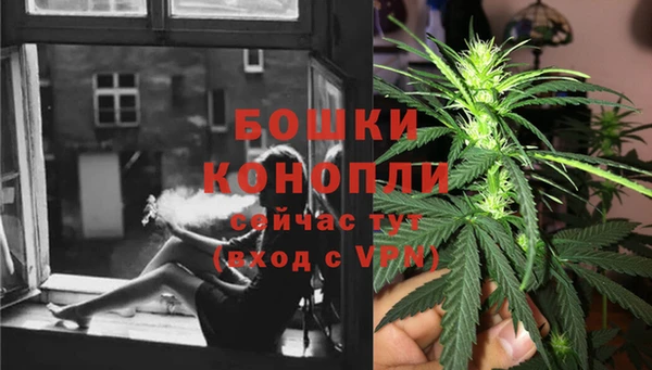 крисы Богданович