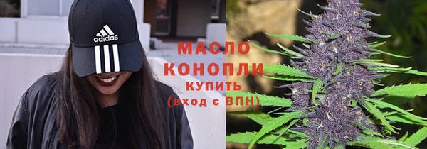 мдпв Богородск