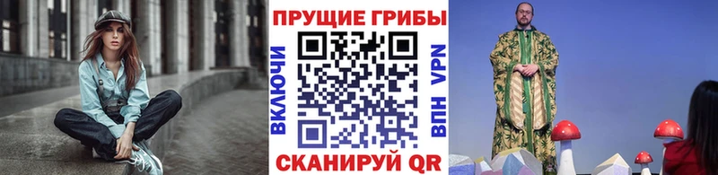 Галлюциногенные грибы Psilocybine cubensis  что такое наркотик  OMG зеркало  Вязьма 